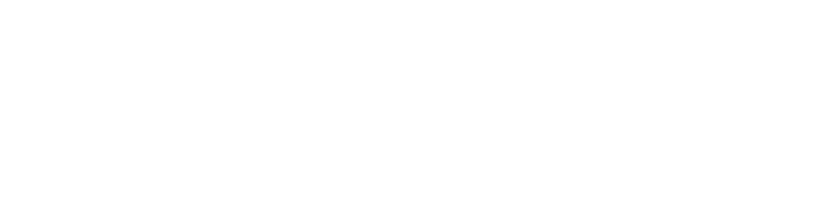 eMAG logo