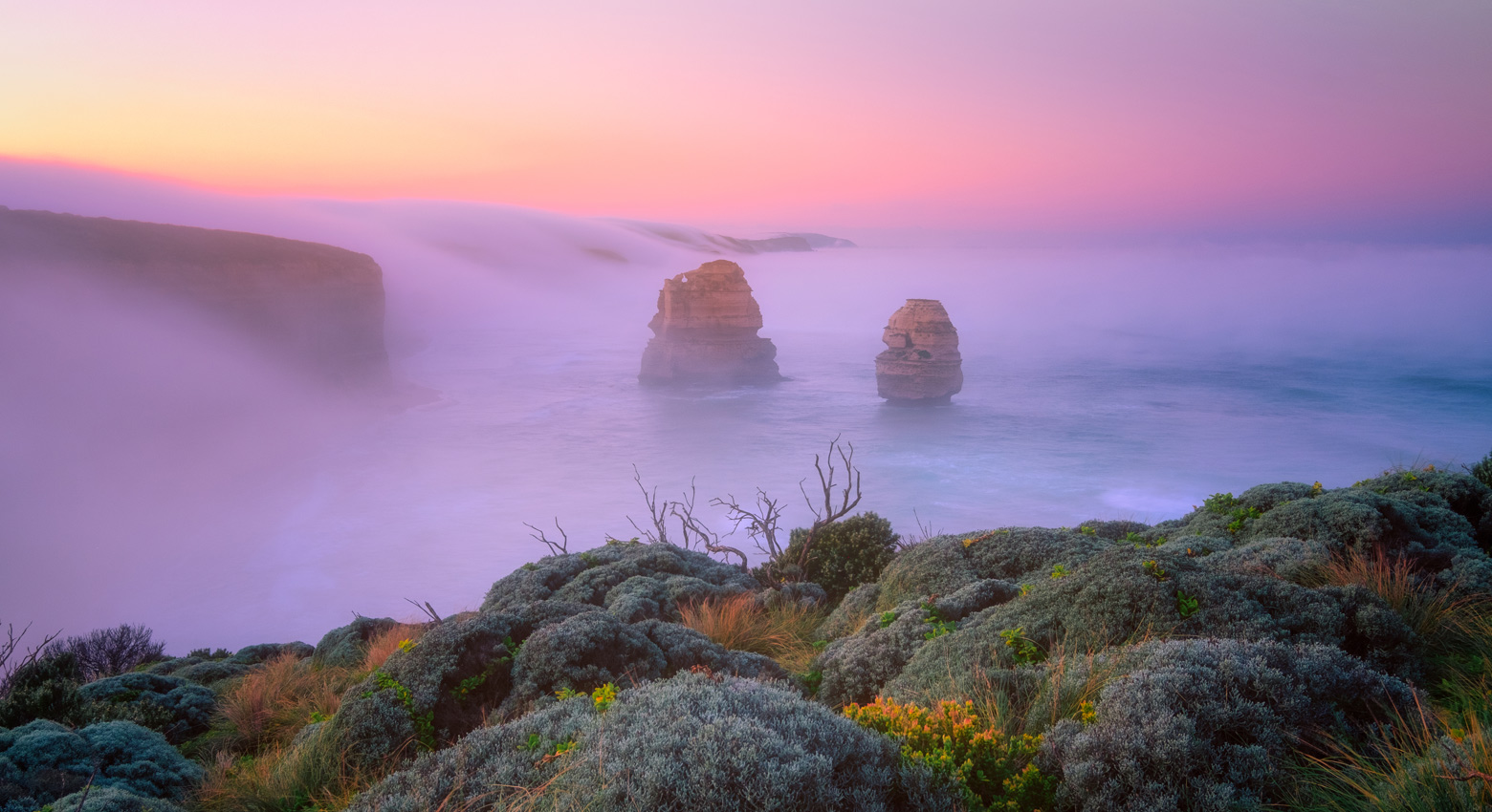 Hills and ocean in fog 