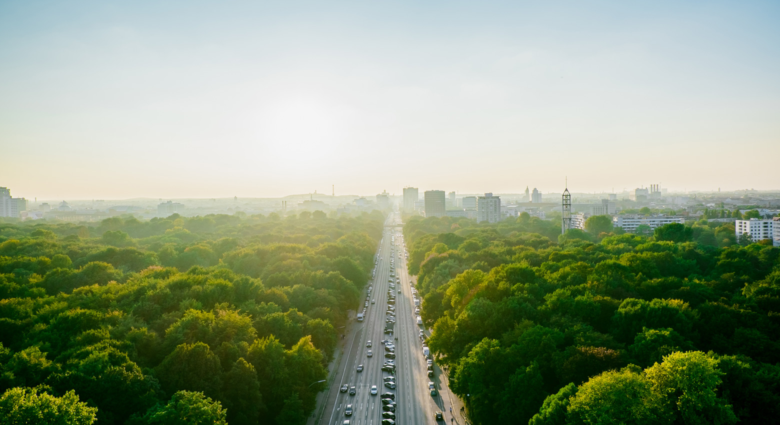 Trees, road and sky 