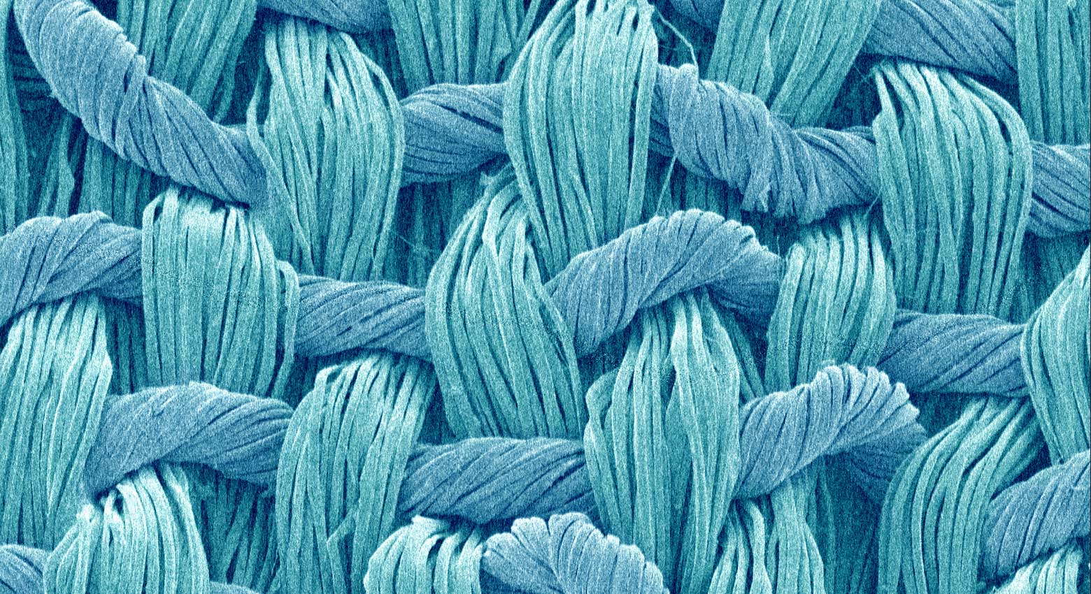 Woven cloth at a magnification of x50.