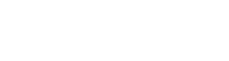 eMAG logo